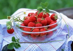 【岡山県津山市のお弁当と仕出しの専門店】つるやの魅力と特徴を徹底解説
